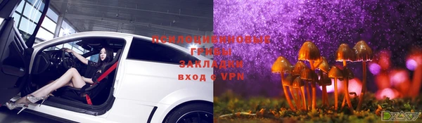 прущие крисы Коряжма