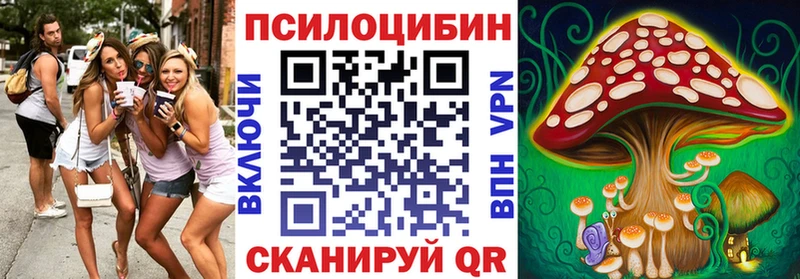 где продают   Могоча  Псилоцибиновые грибы мицелий 