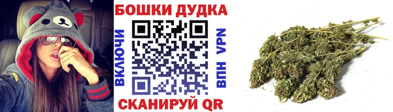 Каннабис гибрид  Могоча 